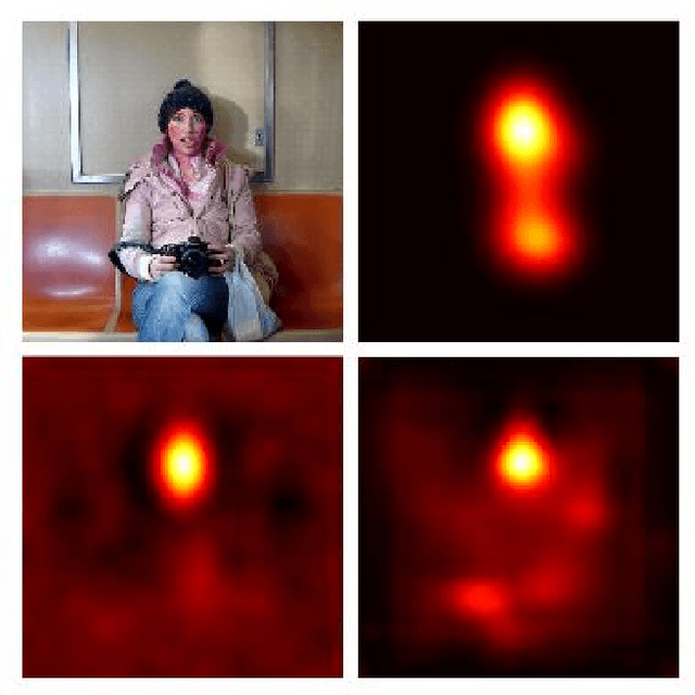 Figure 1 for Shallow and Deep Convolutional Networks for Saliency Prediction