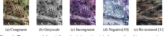 Figure 1 for Assessing The Importance Of Colours For CNNs In Object Recognition