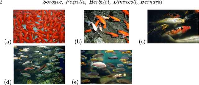 Figure 1 for Pay Attention to Those Sets! Learning Quantification from Images