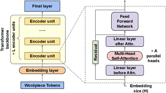 Figure 1 for Compressing Large-Scale Transformer-Based Models: A Case Study on BERT