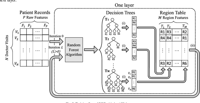 Figure 2 for Discovering Drug-Drug and Drug-Disease Interactions Inducing Acute Kidney Injury Using Deep Rule Forests