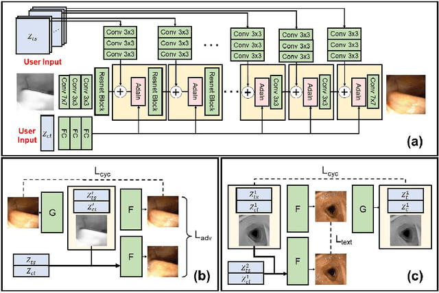 Figure 1 for CLTS-GAN: Color-Lighting-Texture-Specular Reflection Augmentation for Colonoscopy
