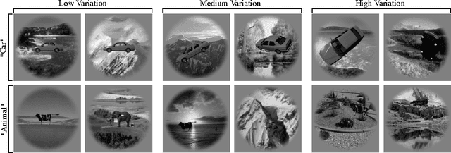Figure 1 for The Neural Representation Benchmark and its Evaluation on Brain and Machine