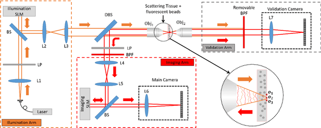 Figure 1 for Fluorescent wavefront shaping using incoherent iterative phase conjugation