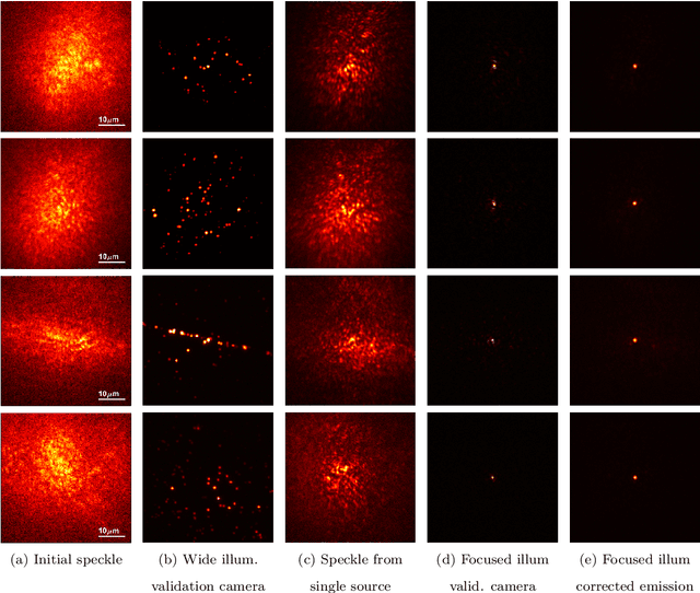 Figure 4 for Fluorescent wavefront shaping using incoherent iterative phase conjugation