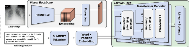 Figure 1 for RadTex: Learning Efficient Radiograph Representations from Text Reports