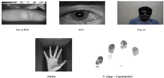 Figure 1 for UBSegNet: Unified Biometric Region of Interest Segmentation Network