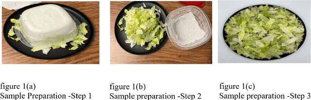 Figure 1 for A novel illumination condition varied image dataset-Food Vision Dataset (FVD) for fair and reliable consumer acceptability predictions from food