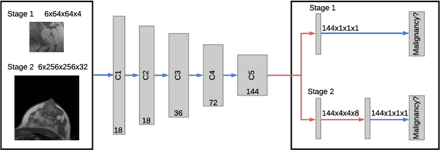 Figure 1 for Multi Scale Curriculum CNN for Context-Aware Breast MRI Malignancy Classification