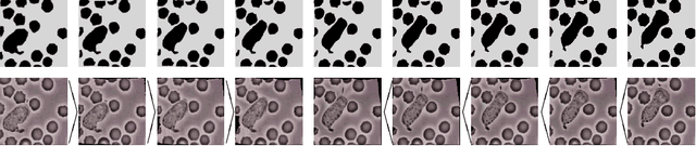 Figure 3 for Discrete geodesic calculus in the space of viscous fluidic objects