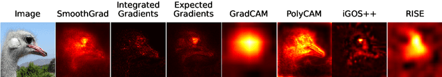 Figure 1 for Fidelity of Ensemble Aggregation for Saliency Map Explanations using Bayesian Optimization Techniques
