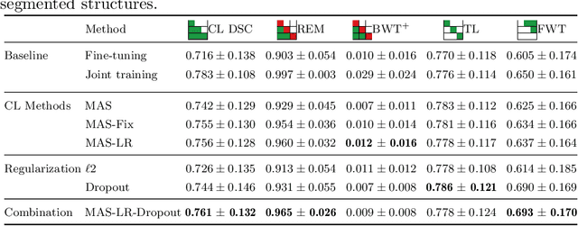 Figure 2 for Importance Driven Continual Learning for Segmentation Across Domains