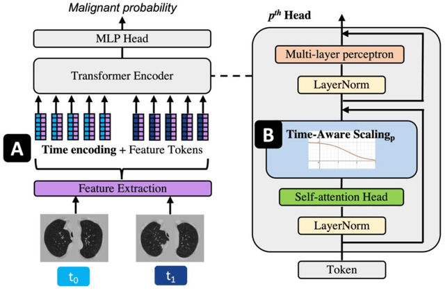 Figure 3 for Time-distance vision transformers in lung cancer diagnosis from longitudinal computed tomography