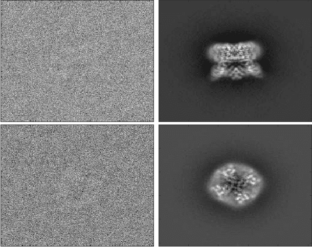 Figure 4 for Continuously heterogeneous hyper-objects in cryo-EM and 3-D movies of many temporal dimensions