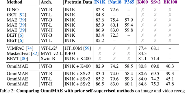 Figure 4 for OmniMAE: Single Model Masked Pretraining on Images and Videos