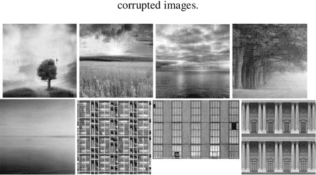 Figure 4 for Nonconvex Approach for Sparse and Low-Rank Constrained Models with Dual Momentum