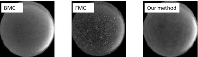 Figure 4 for In-situ multi-scattering tomography