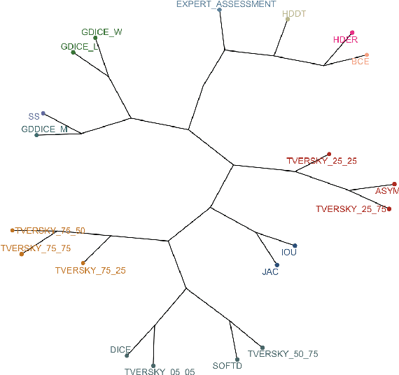 Figure 3 for Are we using appropriate segmentation metrics? Identifying correlates of human expert perception for CNN training beyond rolling the DICE coefficient