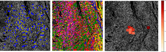 Figure 2 for A Graph Based Neural Network Approach to Immune Profiling of Multiplexed Tissue Samples