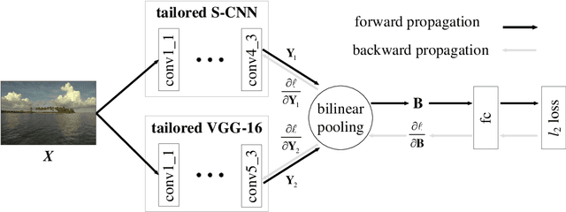 Figure 4 for Blind Image Quality Assessment Using A Deep Bilinear Convolutional Neural Network