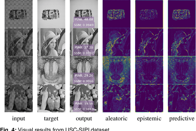 Figure 4 for Bayesian Neural Networks for Reversible Steganography