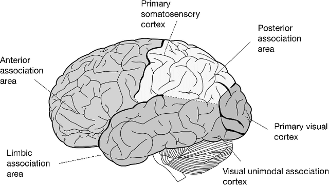 Figure 1 for Cortex Neural Network: learning with Neural Network groups