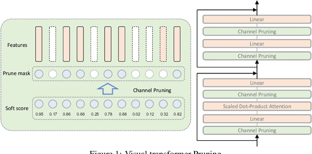 Figure 1 for Visual Transformer Pruning