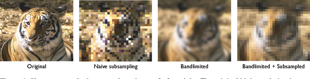 Figure 1 for Deep Scale-spaces: Equivariance Over Scale