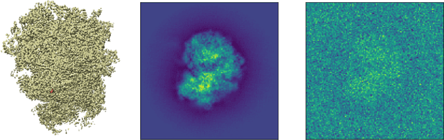 Figure 1 for Wasserstein K-Means for Clustering Tomographic Projections