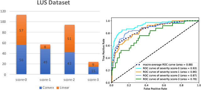 Figure 1 for Weakly Supervised Contrastive Learning for Better Severity Scoring of Lung Ultrasound
