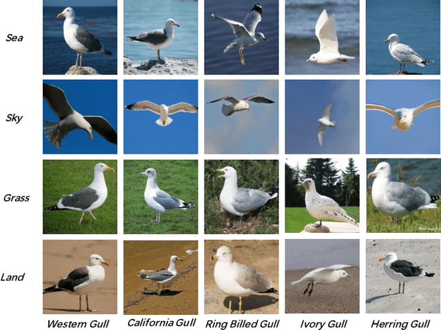Figure 1 for Boosting Few-shot Fine-grained Recognition with Background Suppression and Foreground Alignment