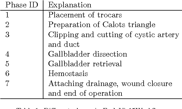 Figure 2 for Unsupervised temporal context learning using convolutional neural networks for laparoscopic workflow analysis