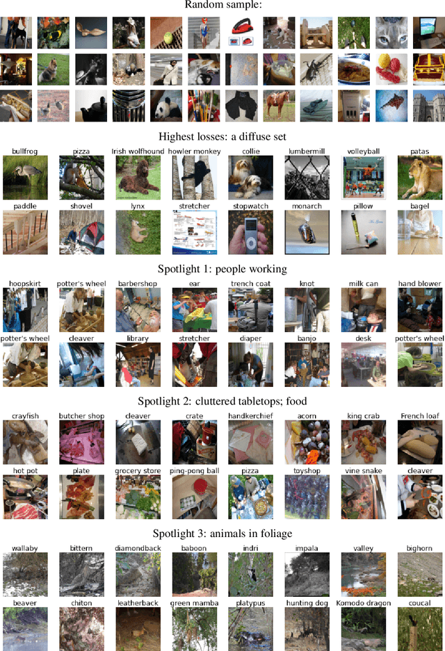 Figure 3 for The Spotlight: A General Method for Discovering Systematic Errors in Deep Learning Models