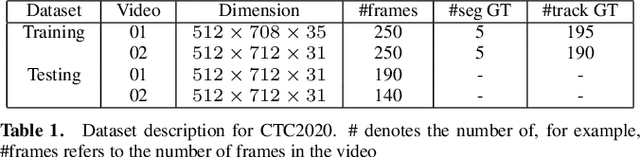 Figure 3 for Semi supervised segmentation and graph-based tracking of 3D nuclei in time-lapse microscopy