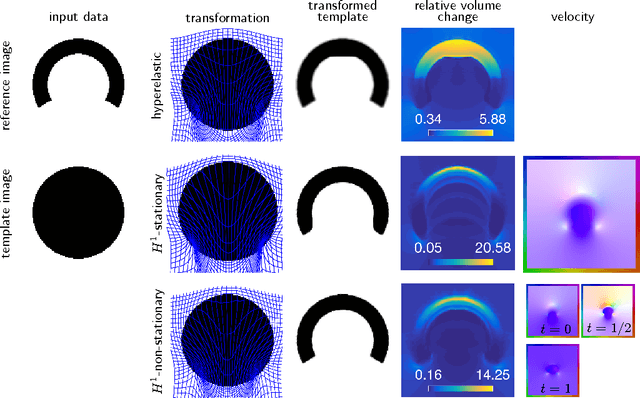 Figure 3 for A Lagrangian Gauss-Newton-Krylov Solver for Mass- and Intensity-Preserving Diffeomorphic Image Registration