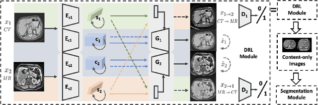 Figure 2 for Unsupervised Domain Adaptation via Disentangled Representations: Application to Cross-Modality Liver Segmentation