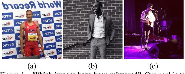 Figure 1 for Visual Chirality