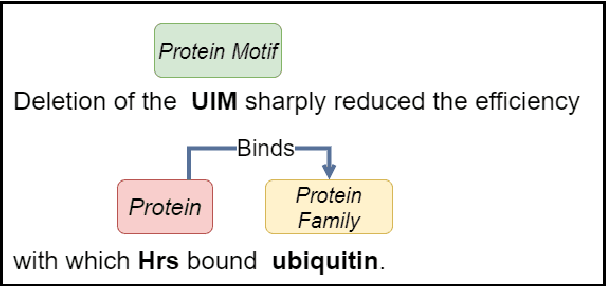 Figure 1 for Joint Biomedical Entity and Relation Extraction with Knowledge-Enhanced Collective Inference