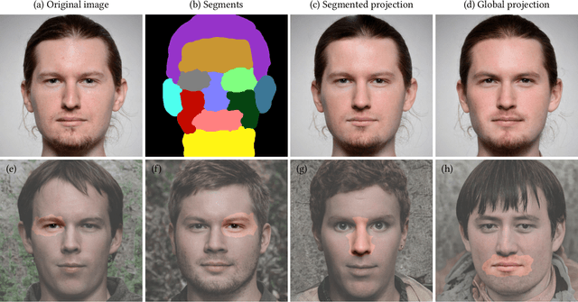 Figure 1 for Real Image Inversion via Segments