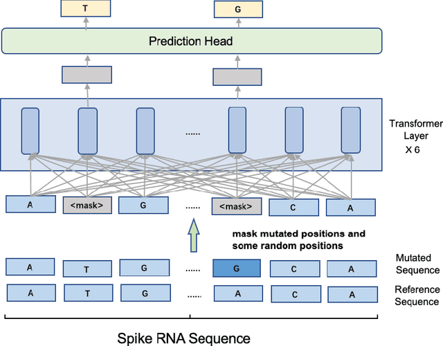 Figure 4 for PhyloTransformer: A Discriminative Model for Mutation Prediction Based on a Multi-head Self-attention Mechanism