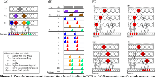 Figure 1 for Relation learning in a neurocomputational architecture supports cross-domain transfer