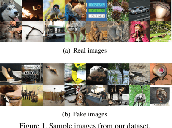 Figure 1 for Human Annotations Improve GAN Performances