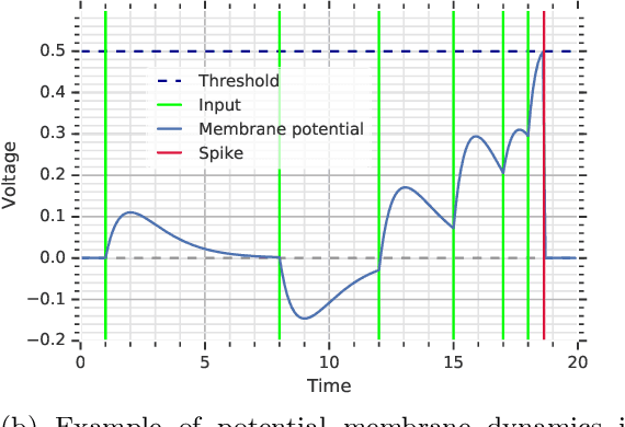 Figure 1 for Temporal coding in spiking neural networks with alpha synaptic function