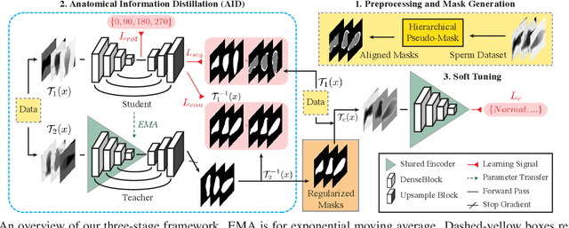Figure 3 for Improving Human Sperm Head Morphology Classification with Unsupervised Anatomical Feature Distillation