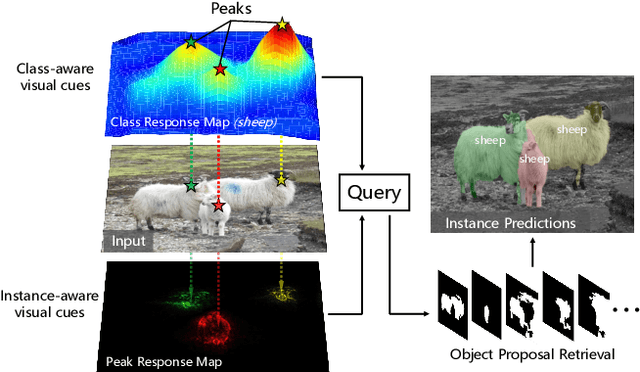 Figure 1 for Weakly Supervised Instance Segmentation using Class Peak Response