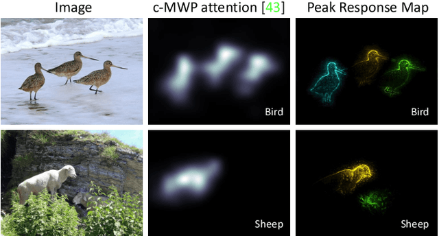 Figure 3 for Weakly Supervised Instance Segmentation using Class Peak Response