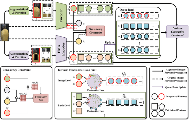 Figure 2 for Unleashing the Potential of Unsupervised Pre-Training with Intra-Identity Regularization for Person Re-Identification