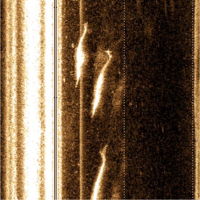 Figure 1 for Counting Fish and Dolphins in Sonar Images Using Deep Learning