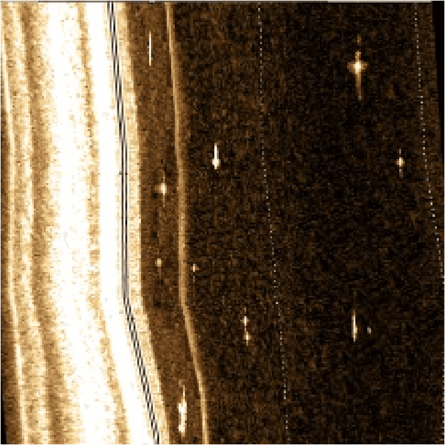 Figure 4 for Counting Fish and Dolphins in Sonar Images Using Deep Learning
