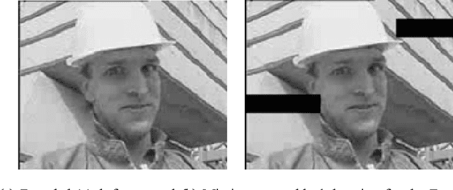 Figure 1 for Error concealment by means of motion refinement and regularized Bregman divergence